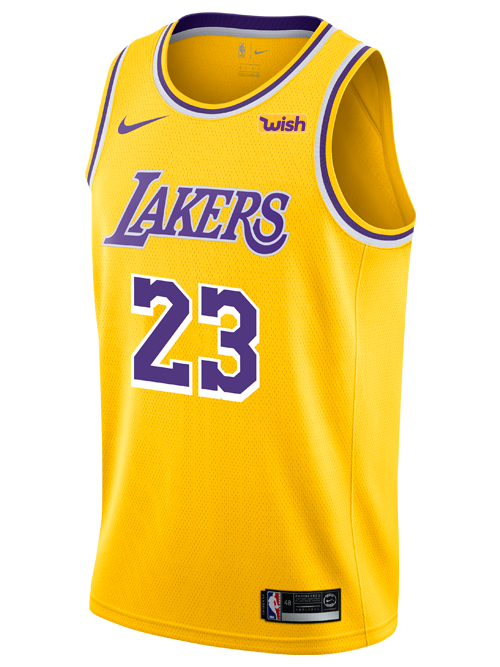 Los Angeles Lakers Youth LeBron James Icon Edition Swingman Jersey  Gold