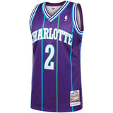 Men's Mitchell & Ness Larry Johnson Purple Charlotte Hornets  Hardwood Classics Authentic Jersey  Purple